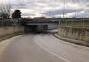 Domani a Marotta sarà allestito il cantiere per ripristinare il “sottopasso delle rane”